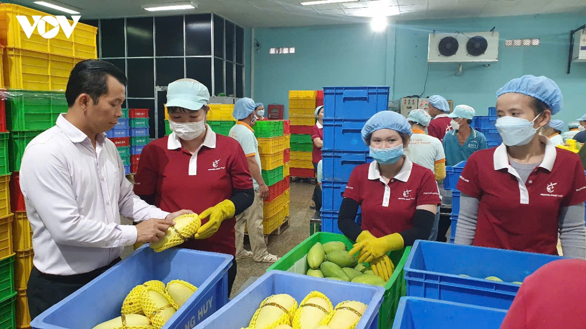 Việt Nam tạo lợi thế gì trước Philippines trên thị trường nông sản?